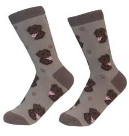 Labrador, Chocolate Socks