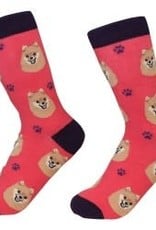 Pomeranian Socks