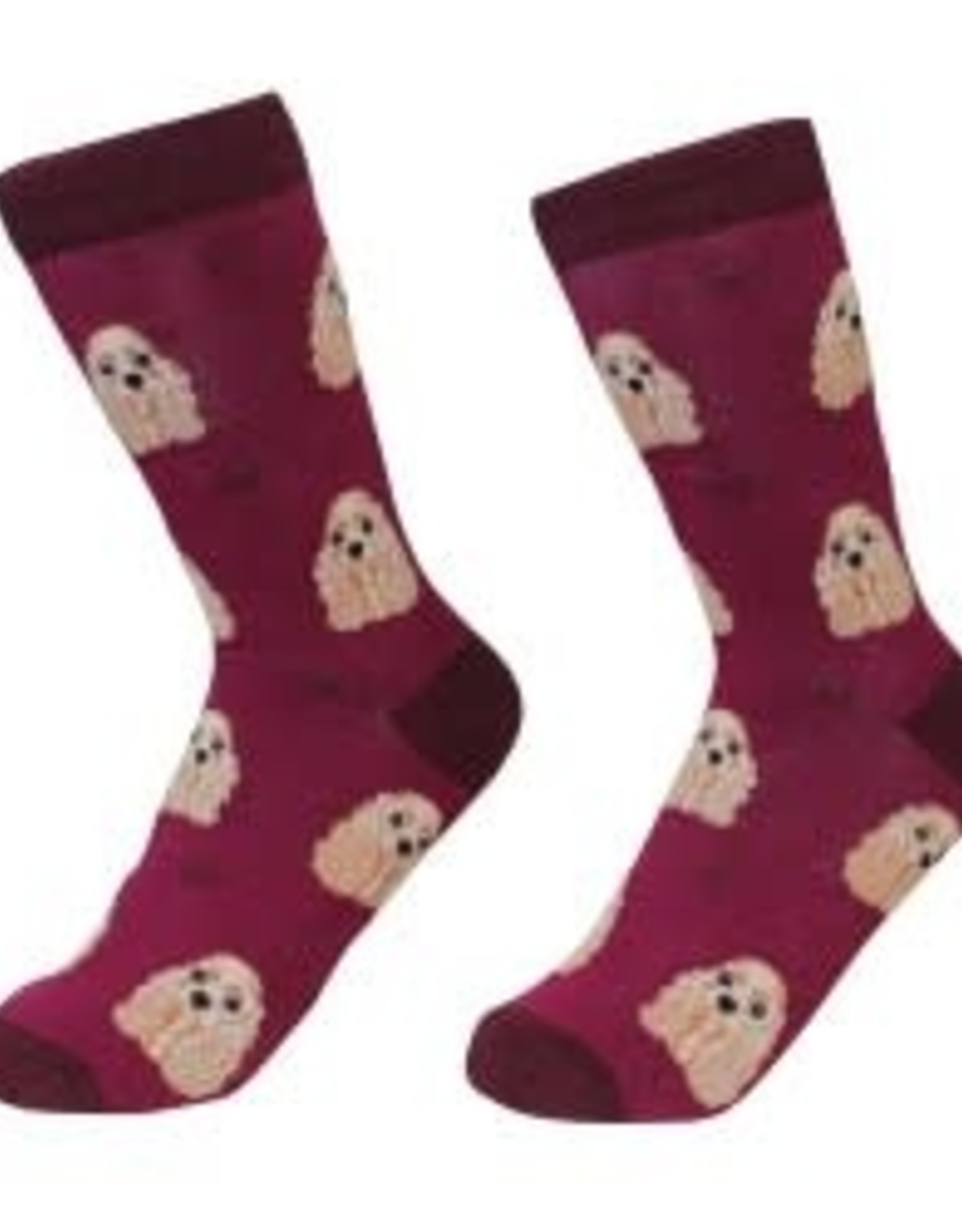 Cocker Spaniel Socks