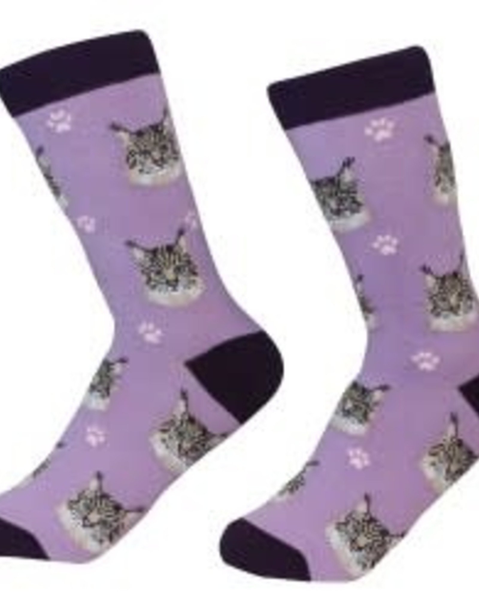 Cat  - Maine Coon  Socks
