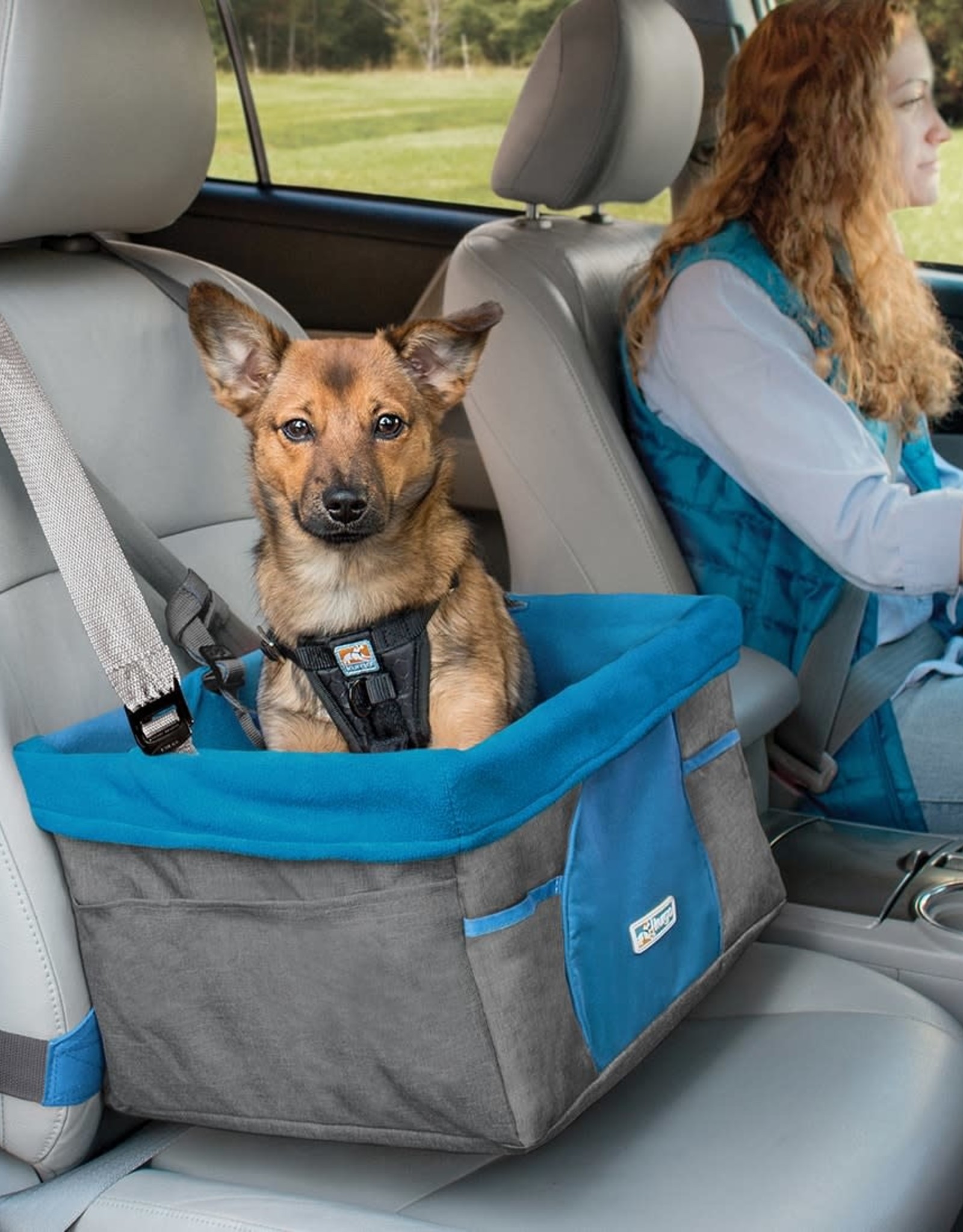 Kurgo Booster Seat