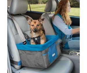 dog seat belt petstock