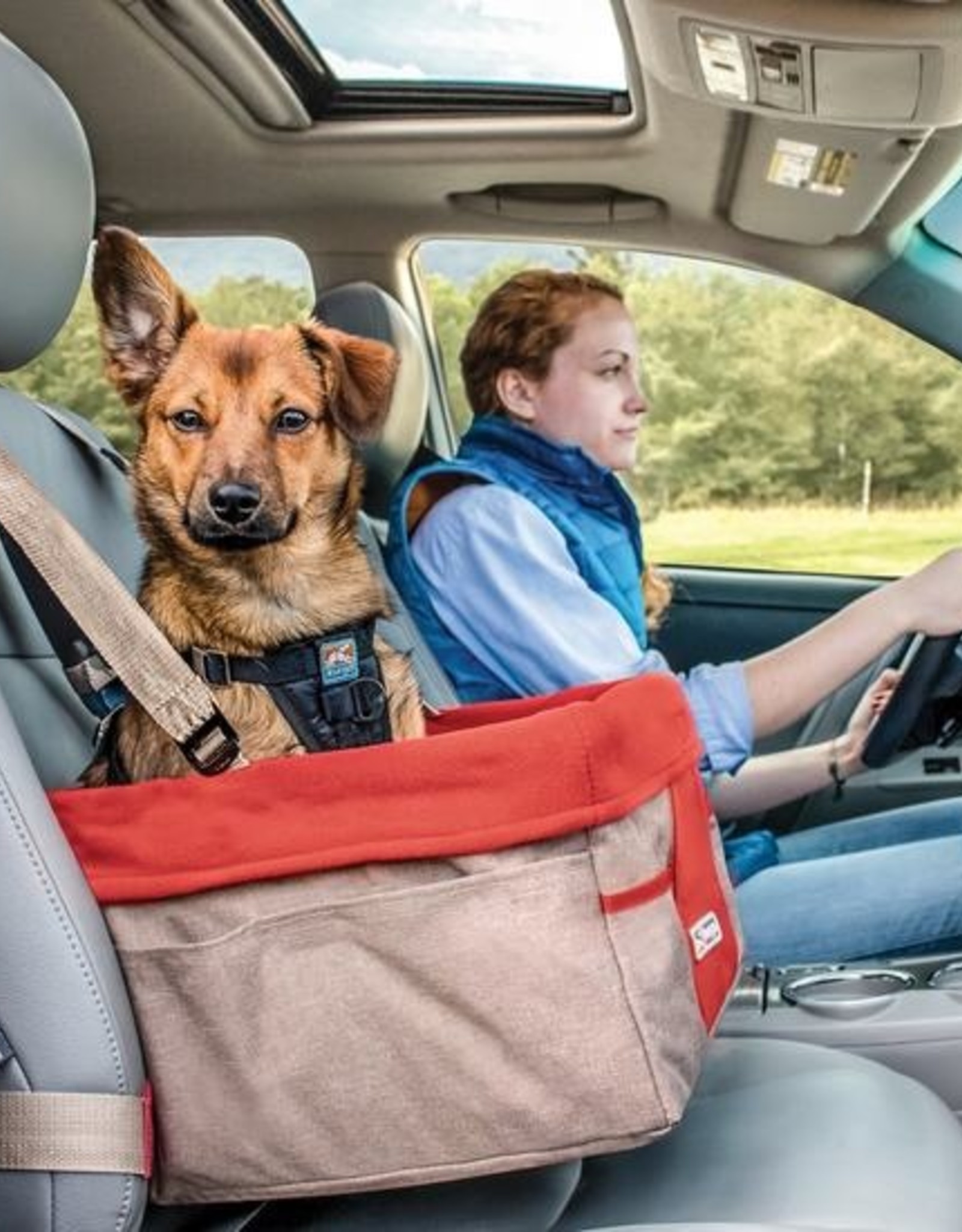 Kurgo Booster Seat