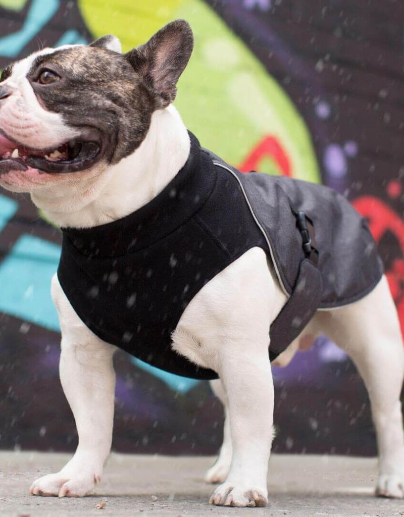 canada pooch expedition coat