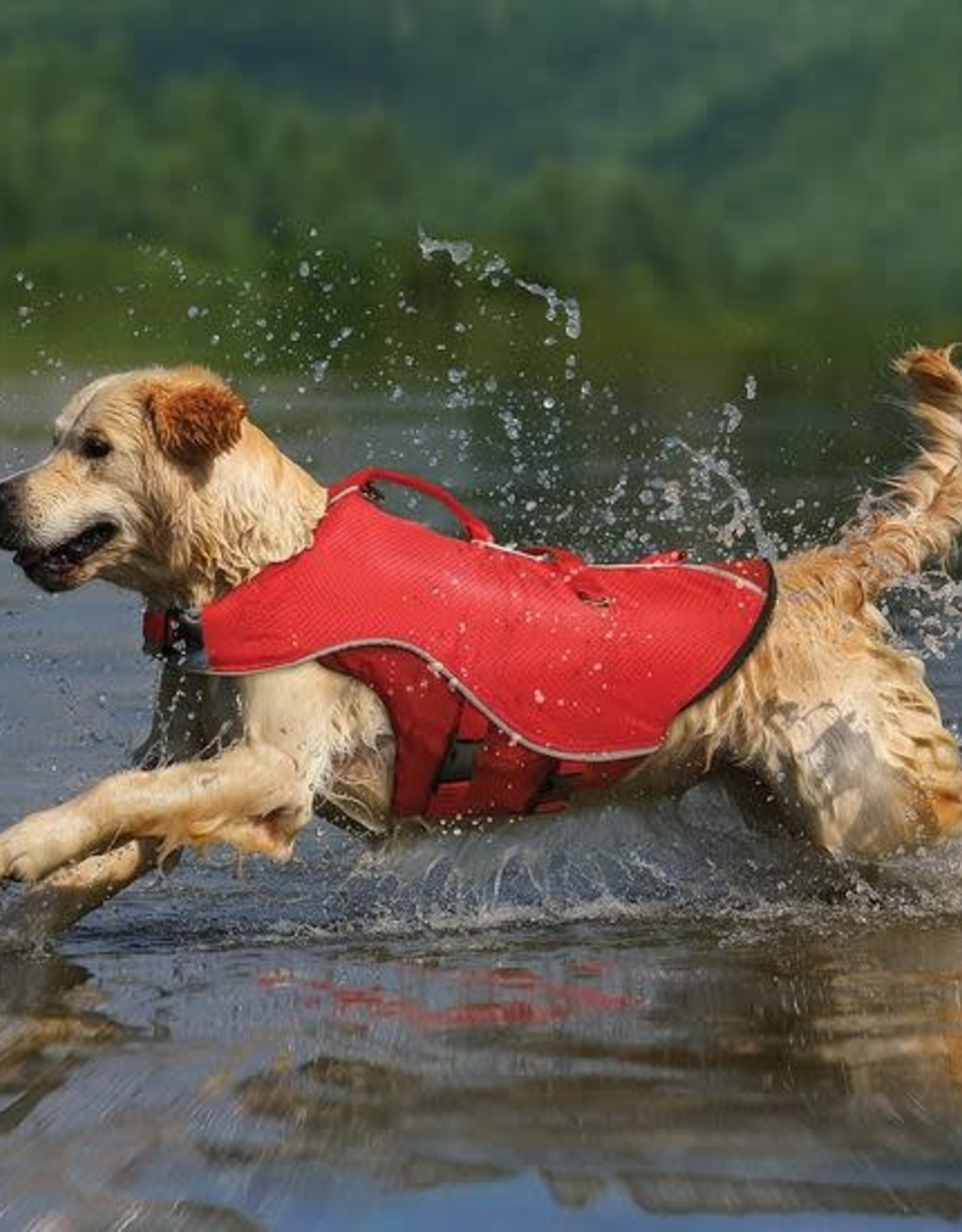 Kurgo Surf N Turf Life Jacket