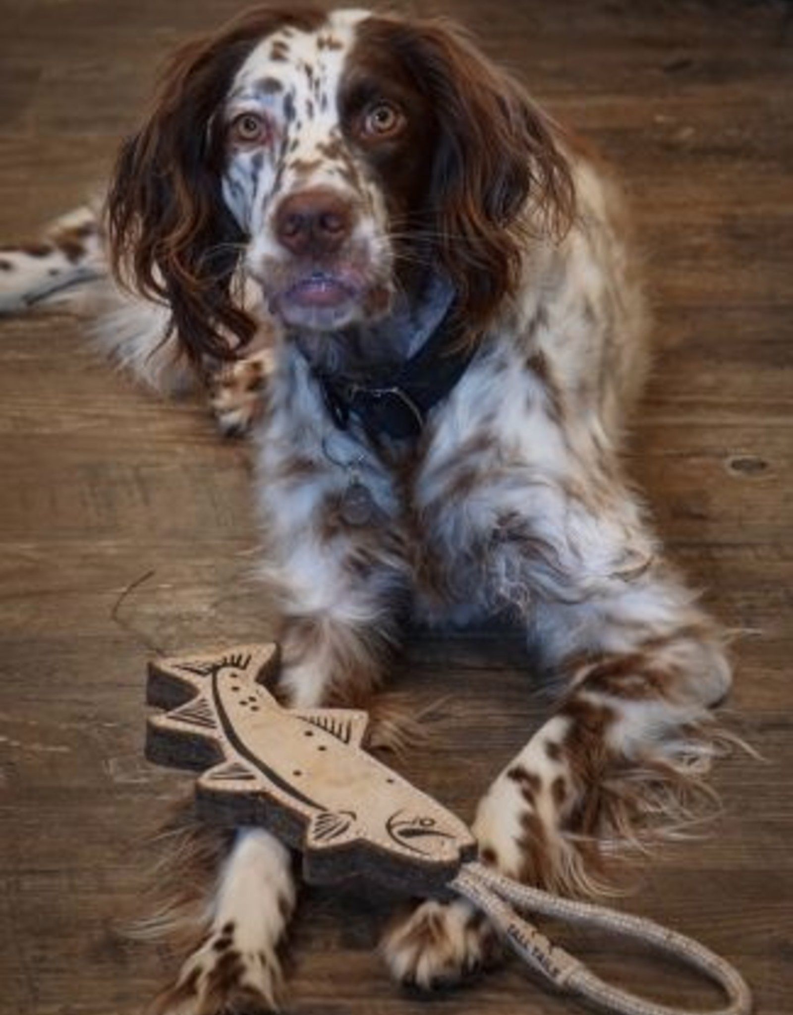 Tall Tails Tall Tails Leather Trout Tug Toy 16"