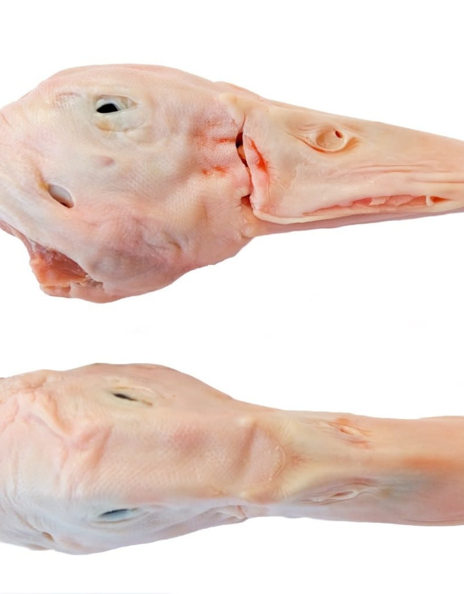 https://cdn.shoplightspeed.com/shops/616591/files/30085465/1600x2048x1/whole-duck-heads-brains-10-pack.jpg