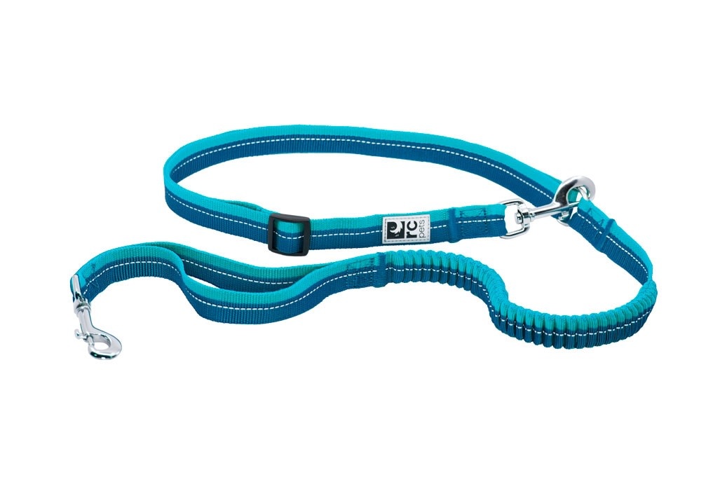 RC Pets Bungee Active Leash - Molly's Healthy Pet Food Market