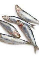 Oma's Pride Whole Sardines 1lb Oma's Pride Whole Sardines 1lb