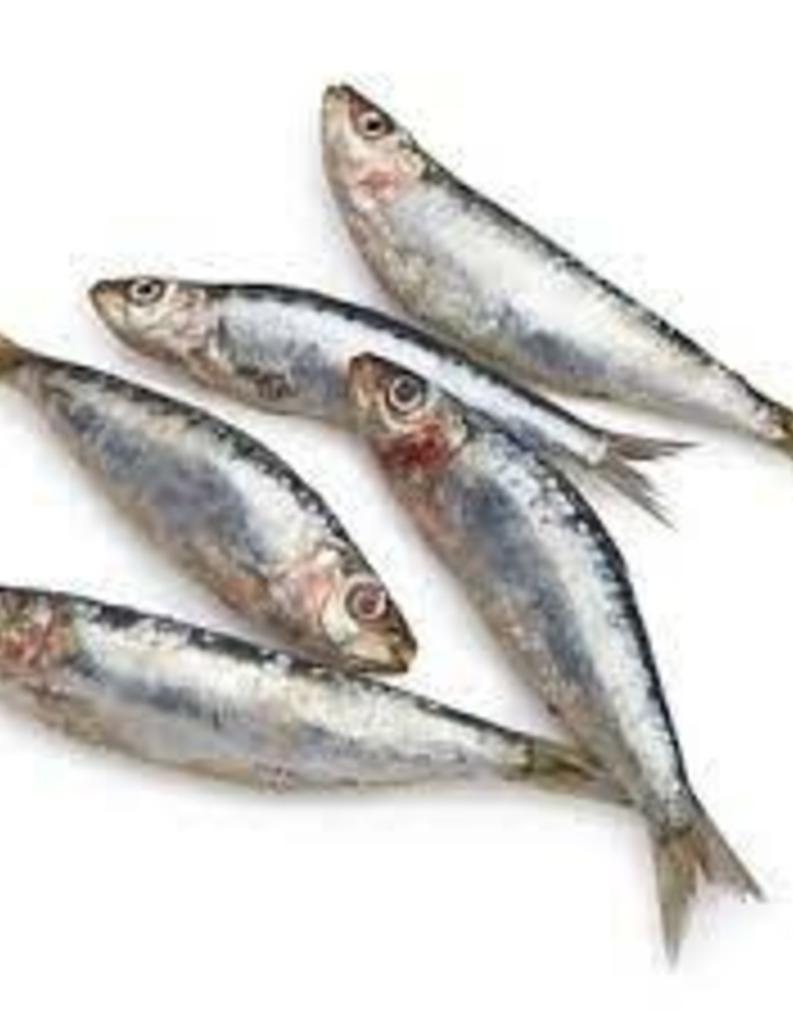 Oma's Pride Whole Sardines 1lb