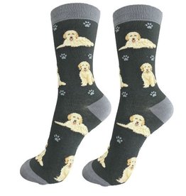 Goldendoodle Socks