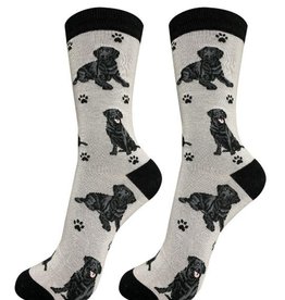 Labrador, Black Socks