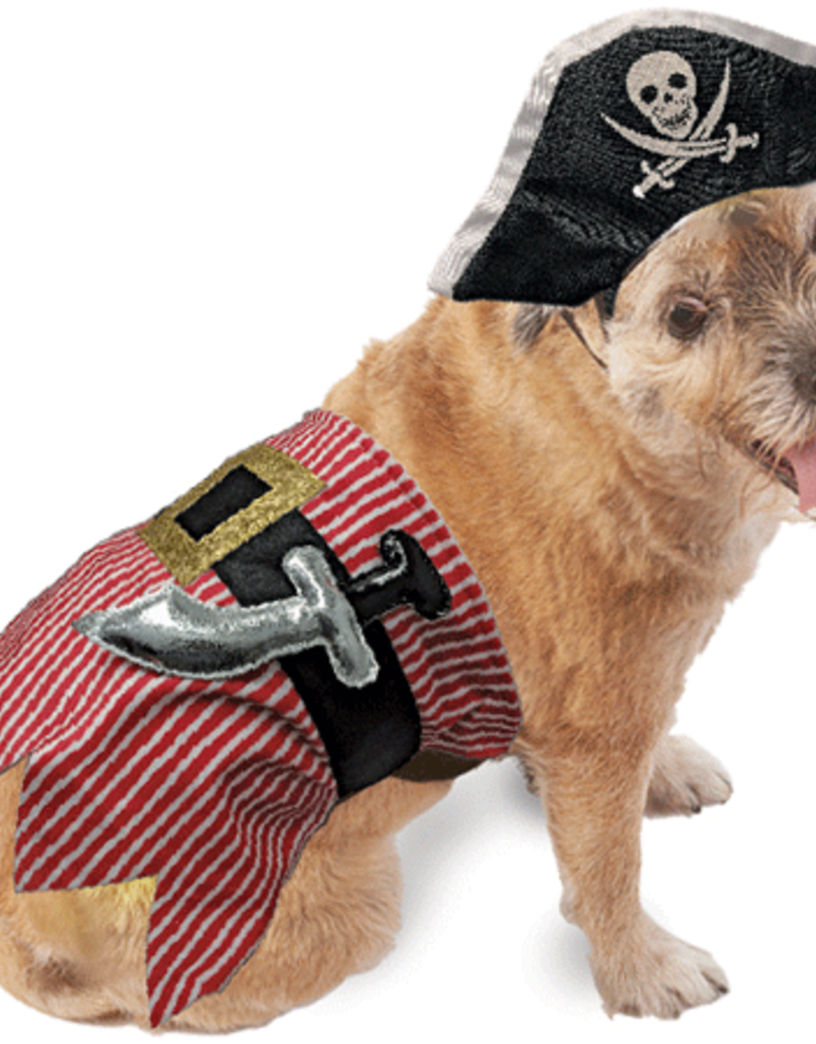 Halloween Costume Pirate