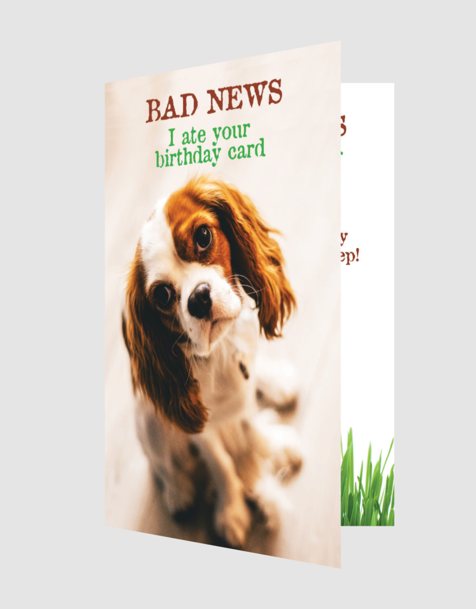 Dog Speak Dog Speak Card - Birthday - Bad News I ate your card