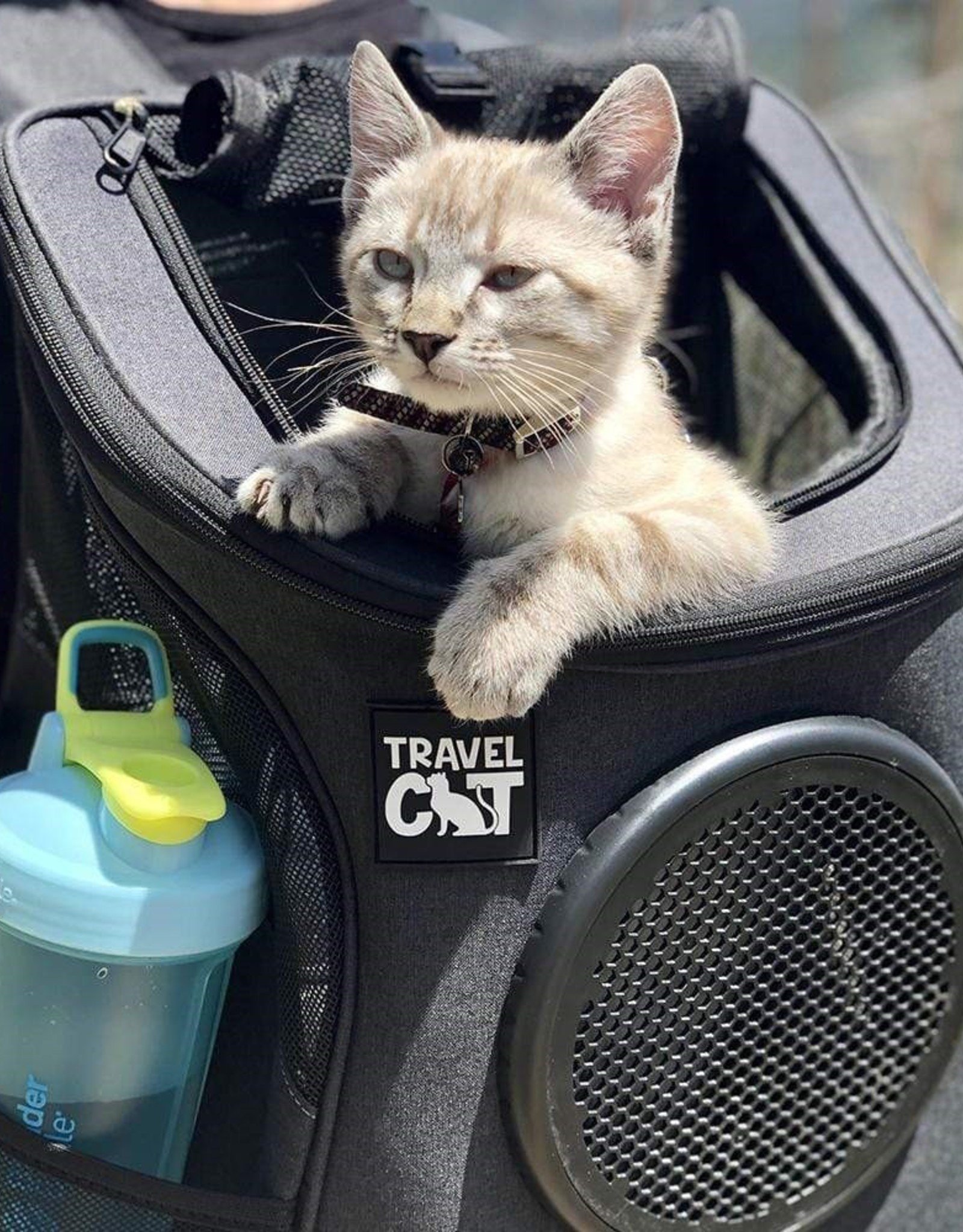 Travel Cat The Fat Cat Backpack - Bubble Carrier