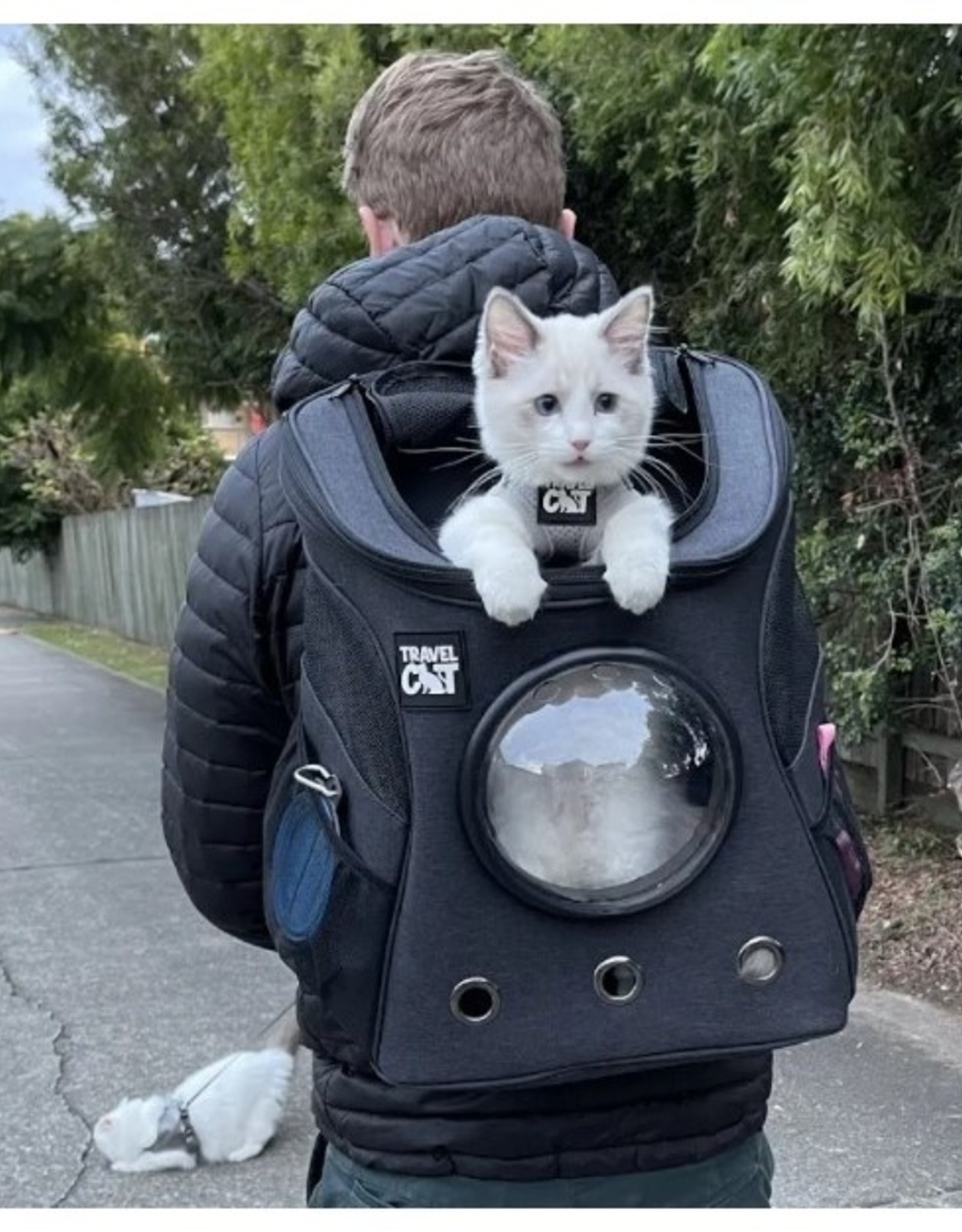 Travel Cat The Fat Cat Backpack - Bubble Carrier