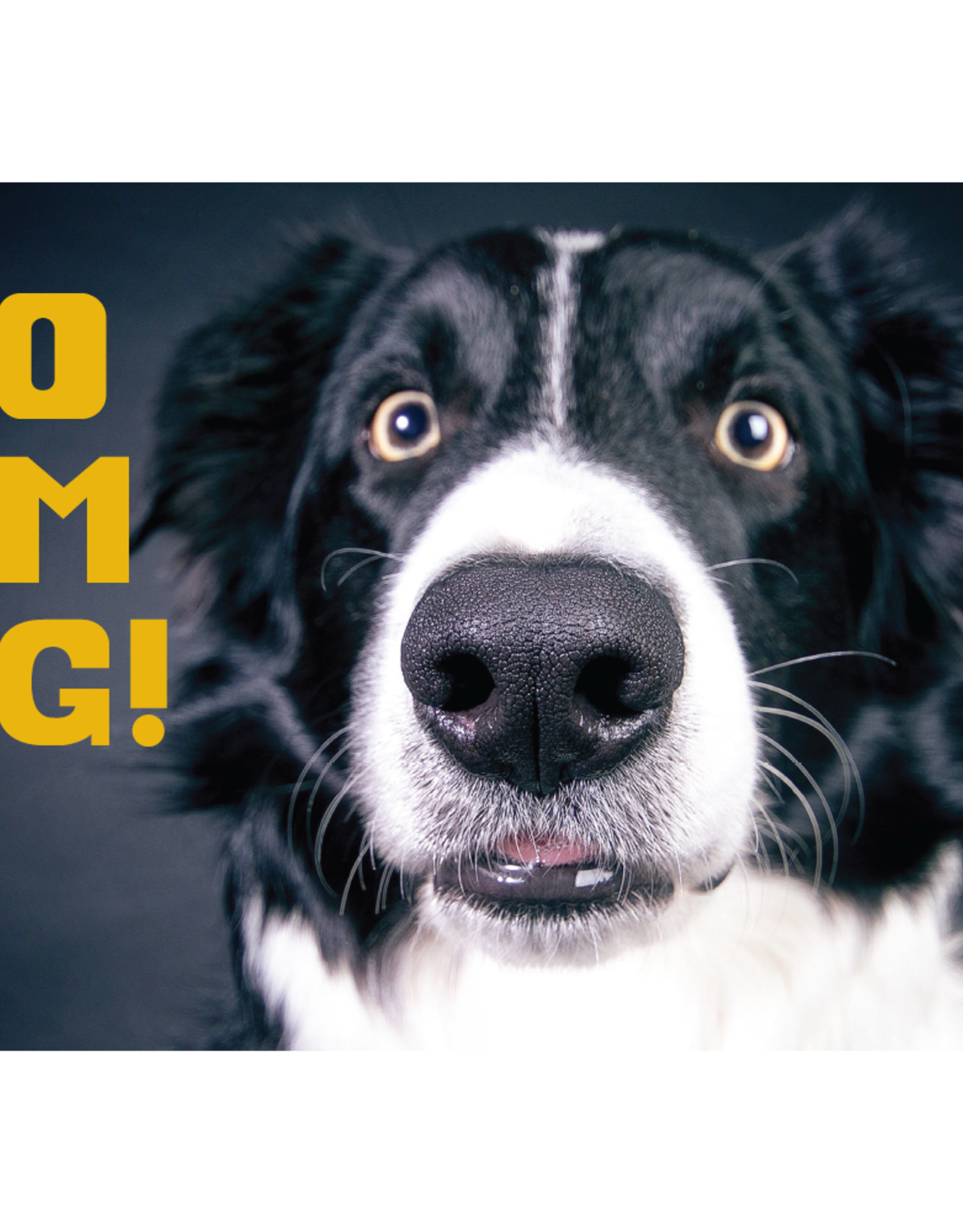 Dog Speak Dog Speak Card - Birthday - OMG!