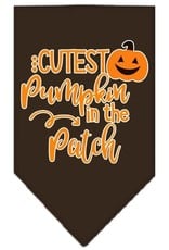 Cutest Pumpkin in the Patch Bandana