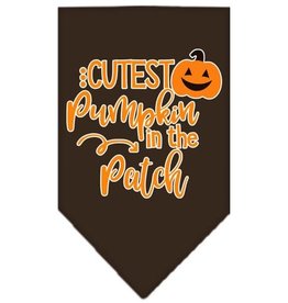 Cutest Pumpkin in the Patch Bandana Cutest Pumpkin in the Patch Bandana