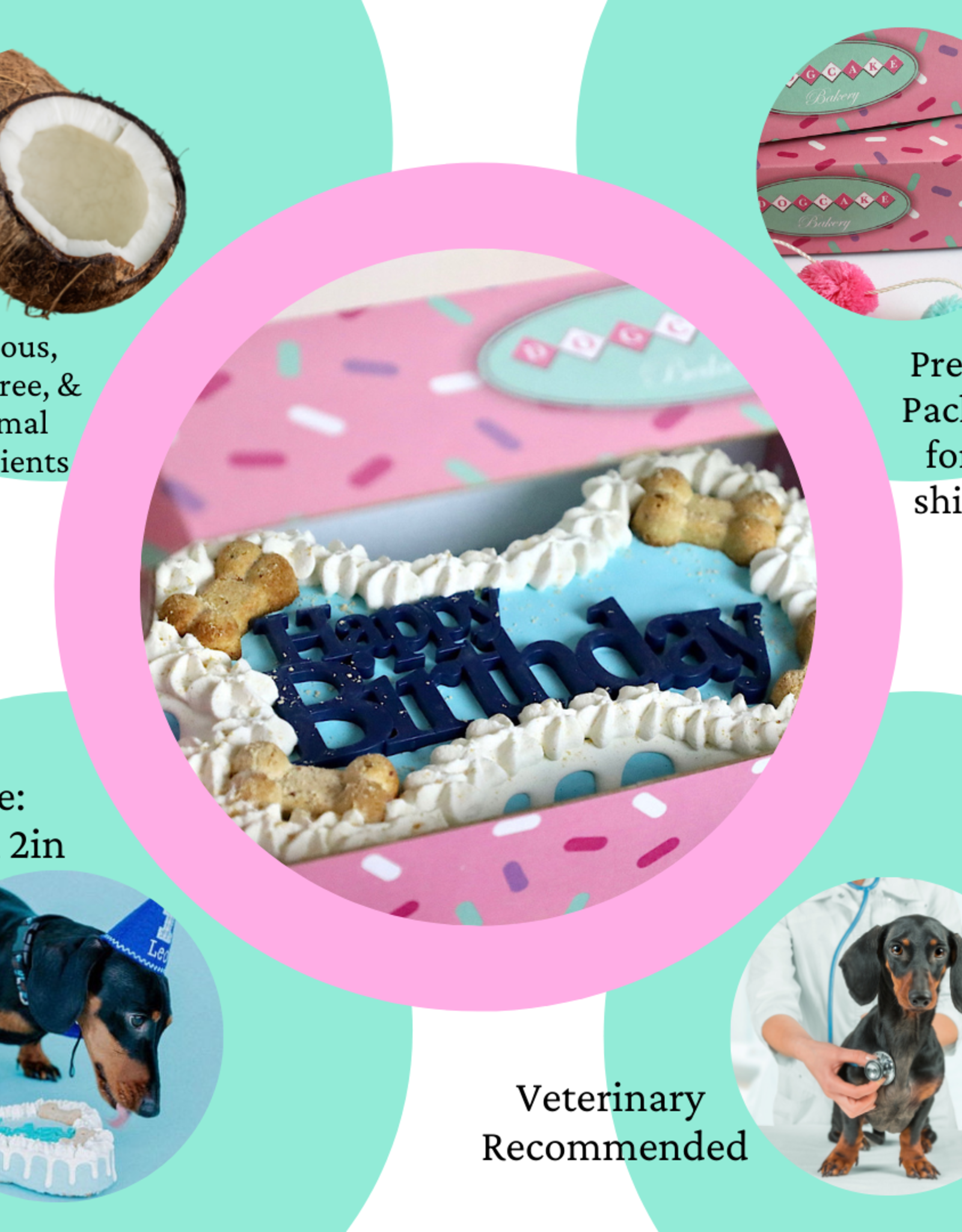 Dog Cake Bakery Dog Cake - 9 Inch Bone Cake