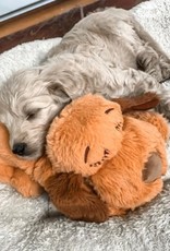 Snuggle Puppy Snuggle Puppy