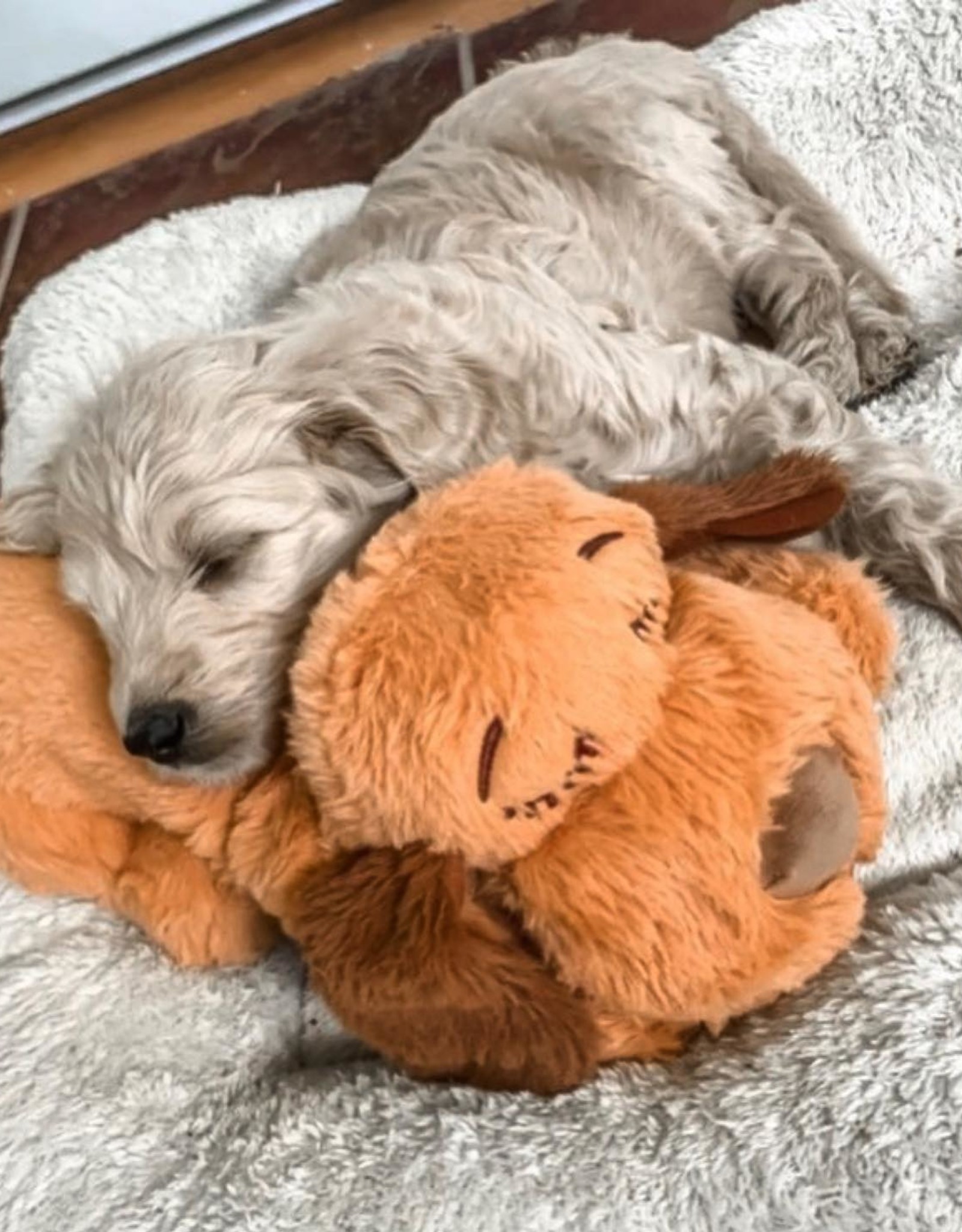 https://cdn.shoplightspeed.com/shops/616591/files/48058476/1600x2048x1/snuggle-puppy-snuggle-puppy.jpg