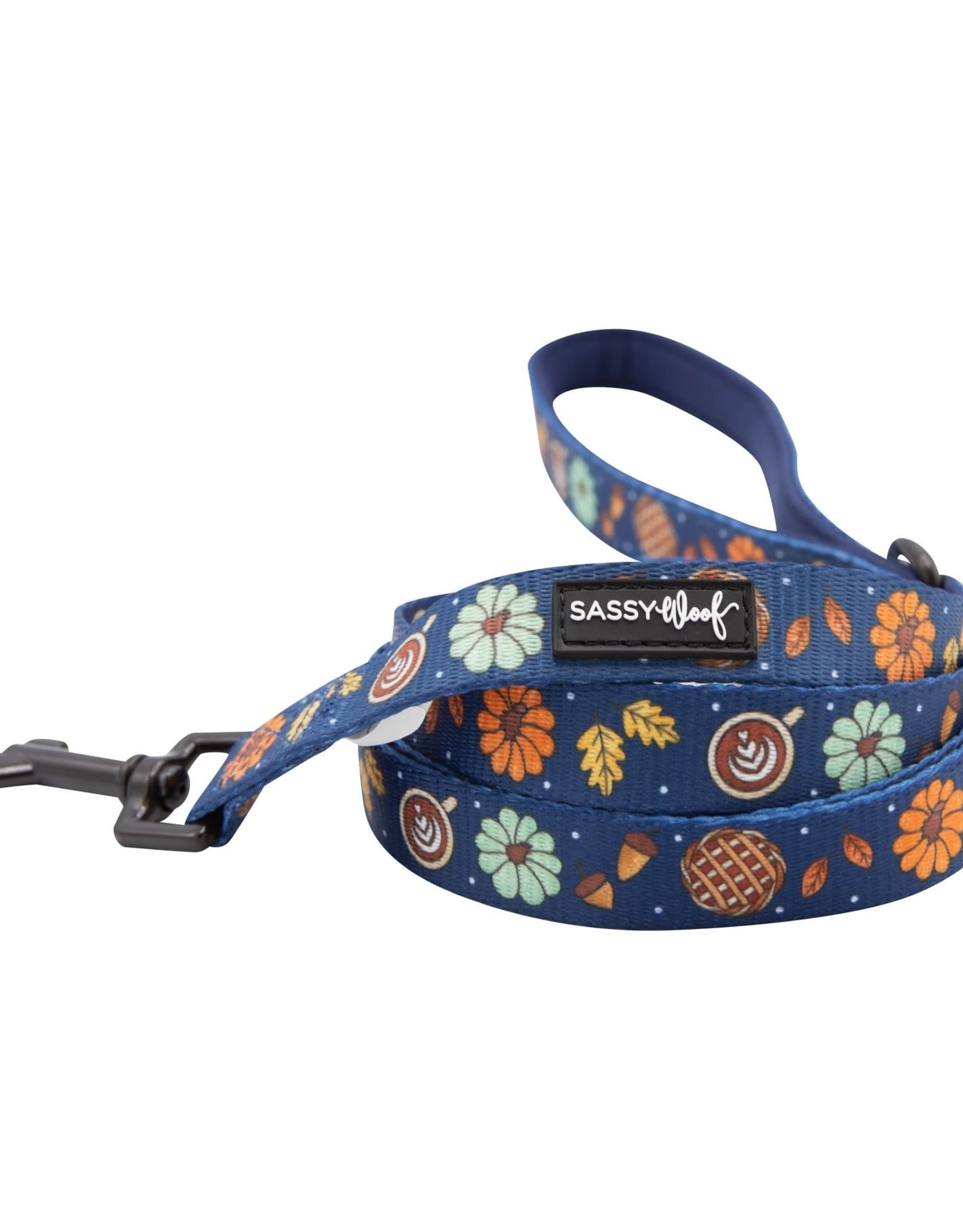 Sassy Woof Oh My Gourd Fabric Leash