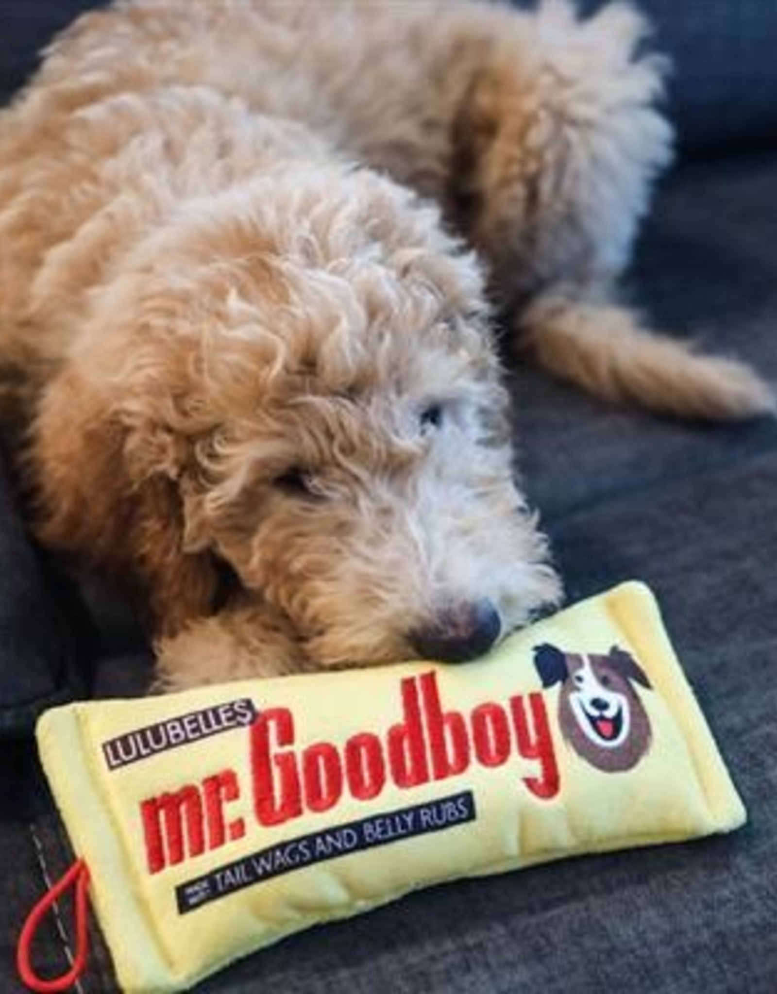 Huxley & Kent Mr Goodboy (Stufless) Dog Toy