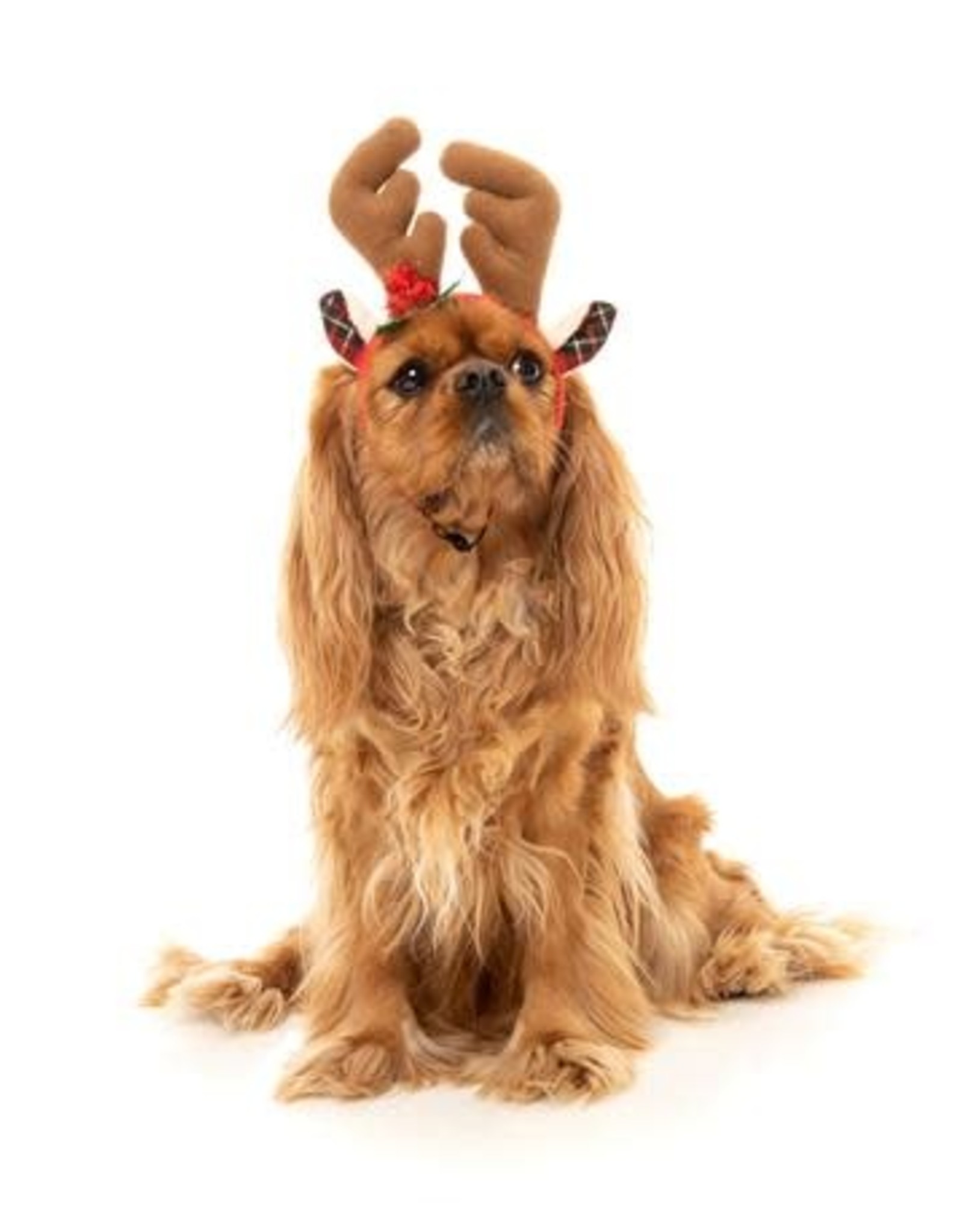 Holiday Reindeer Antlers