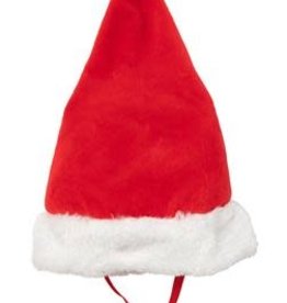 Holiday Santa Hat