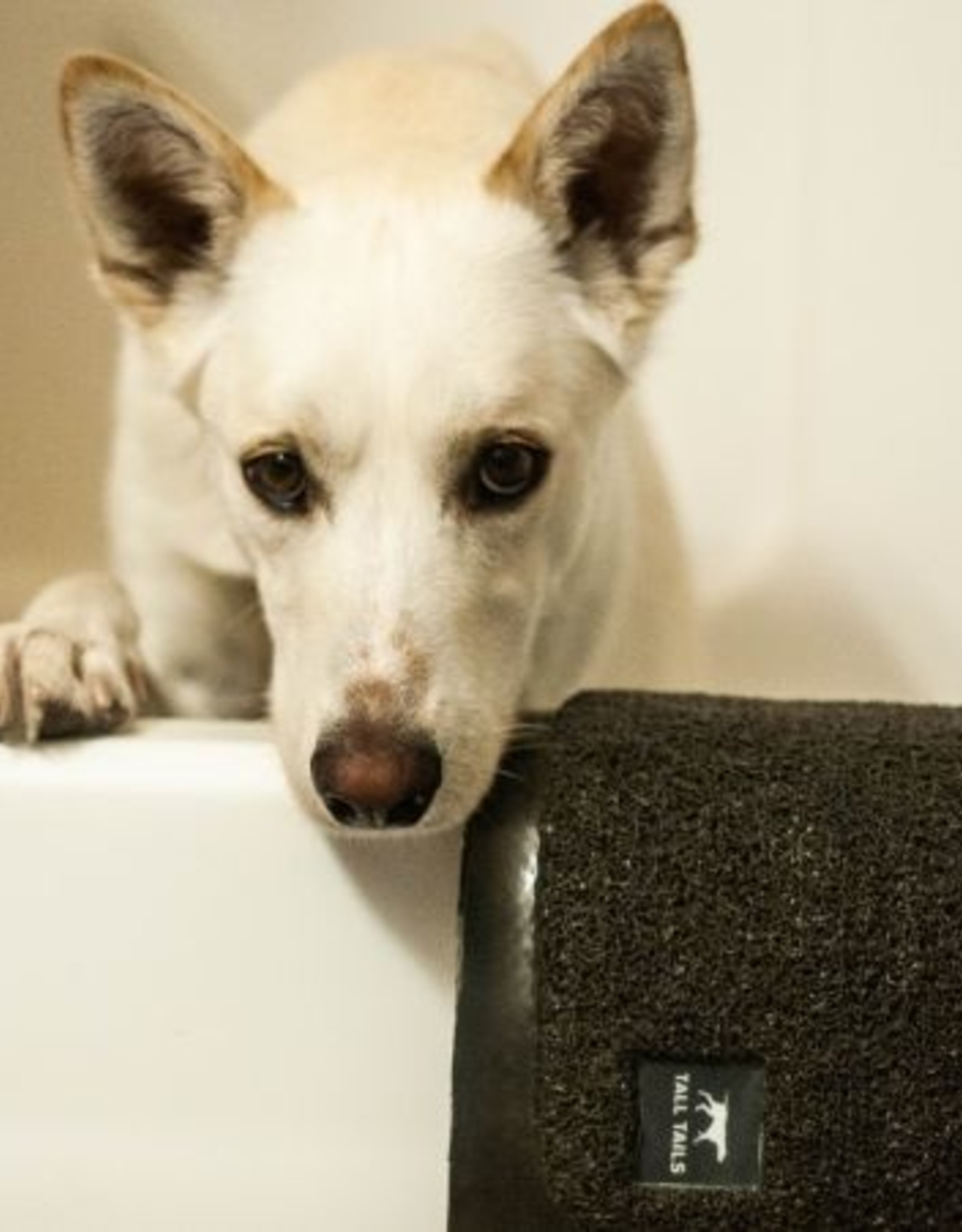 Tall Tails Wet Paw Bath Mat - Molly's Healthy Pet Food Market