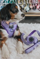 Sassy Woof Sassy Woof Aurora Adjustable Dog Harness