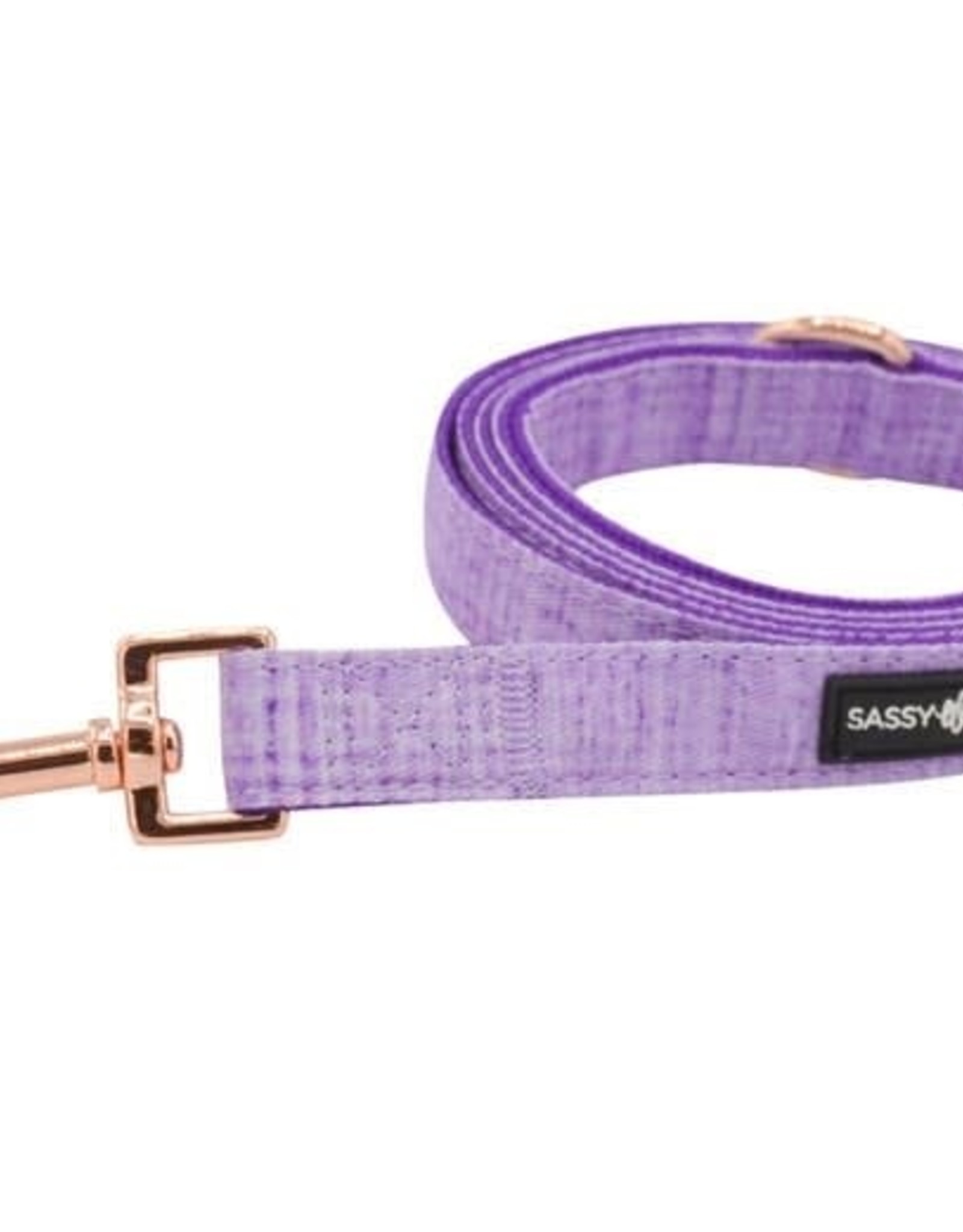 Sassy Woof Aurora Fabric Leash