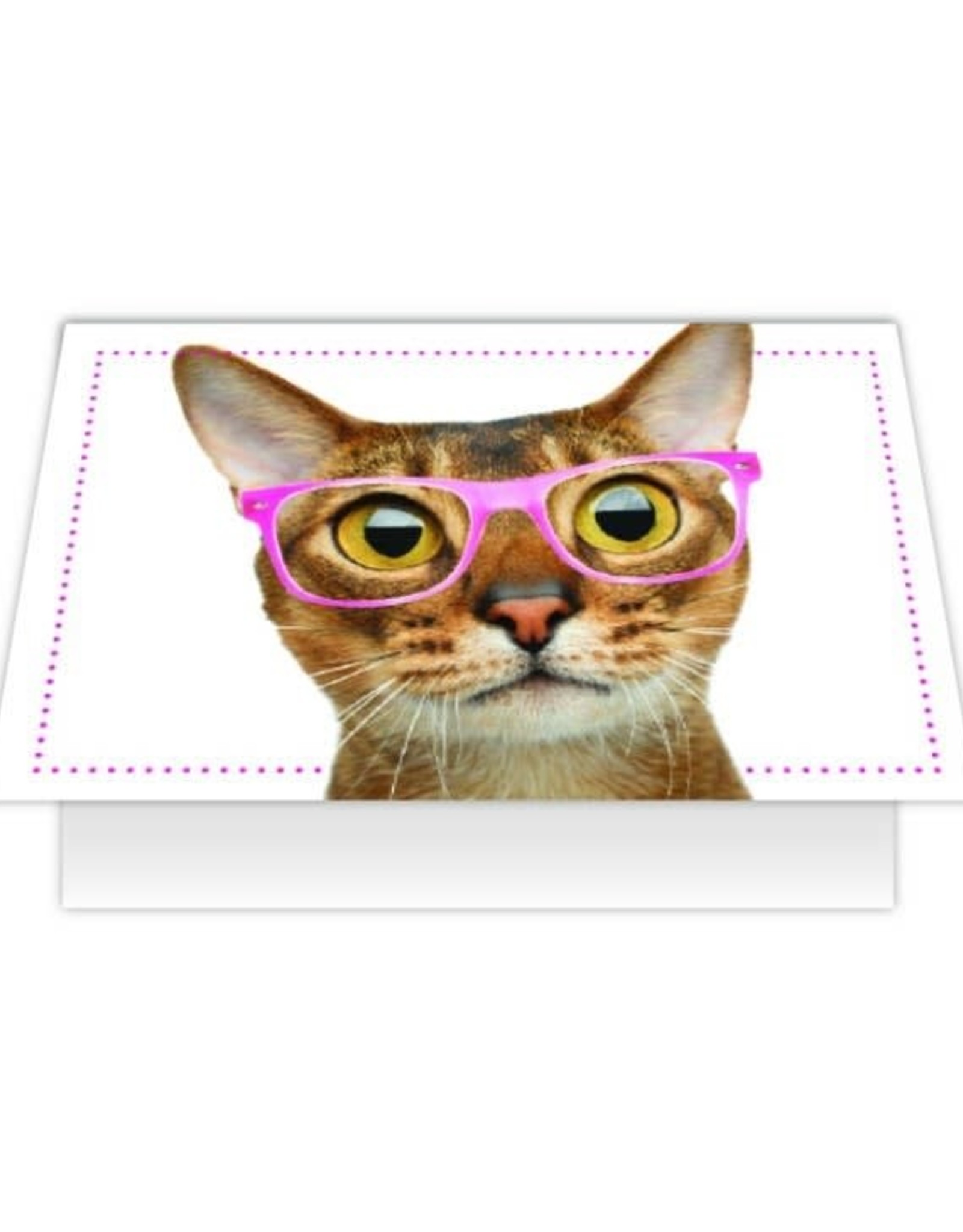 Dog Speak Dog Speak Card - Birthday - Cat Meowvelous