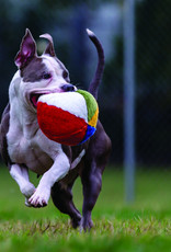 Fluff & Tuff Fluff & Tuff Beach Ball