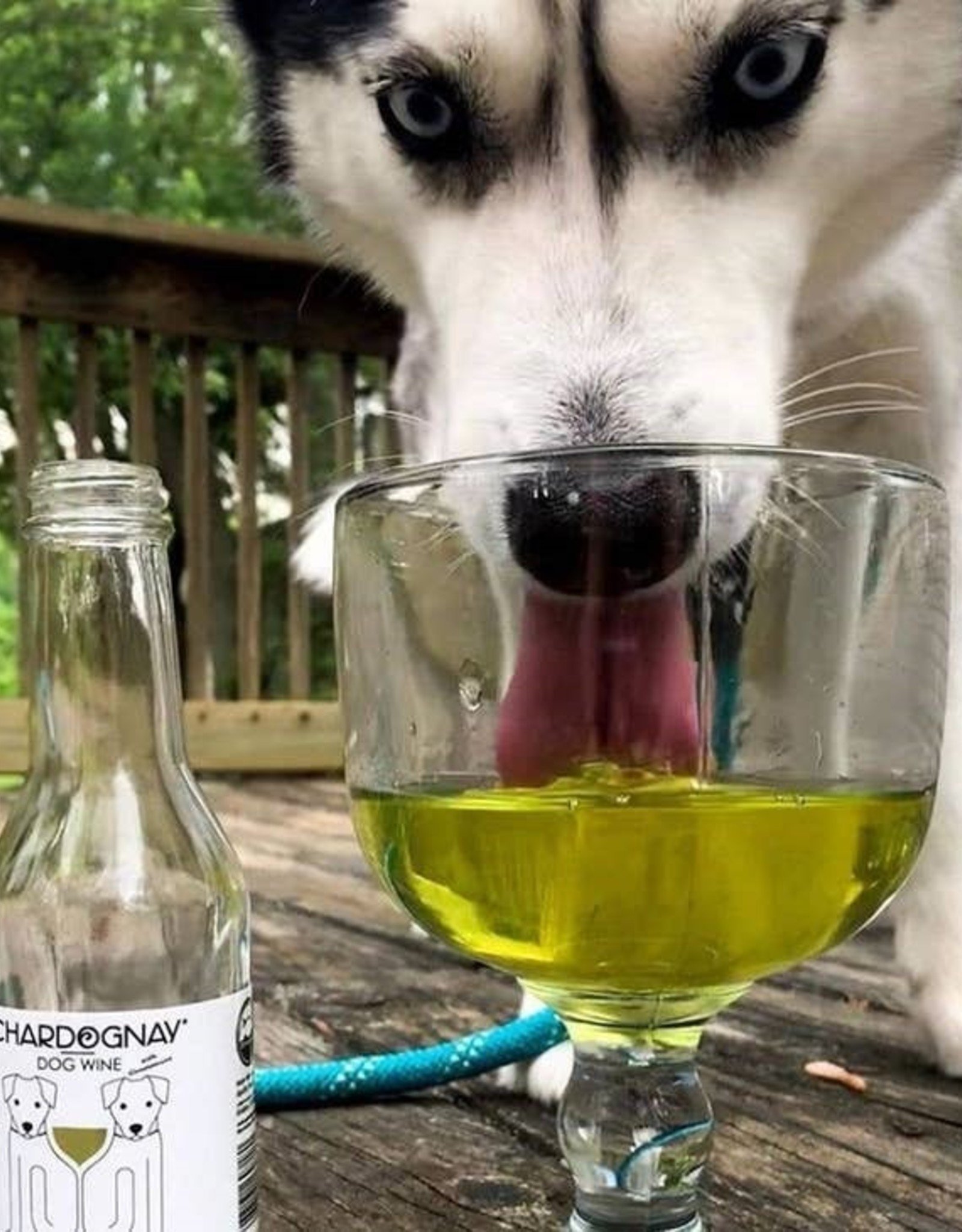 CharDOGnay Dog Wine