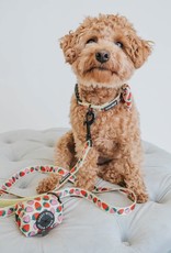 Sassy Woof Strawberry Fields Furever Adjustable Dog Collar