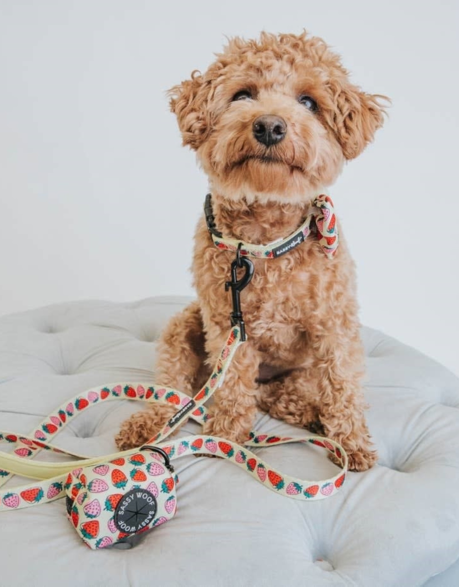 Sassy Woof Strawberry Fields Furever Adjustable Dog Collar