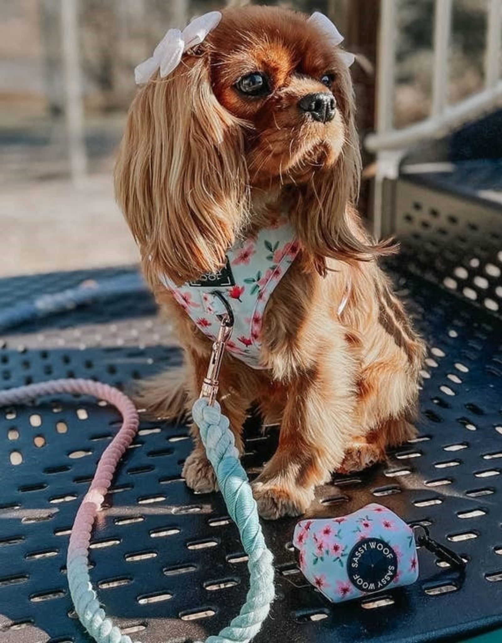 Sassy Woof Sakura Adjustable Dog Harness