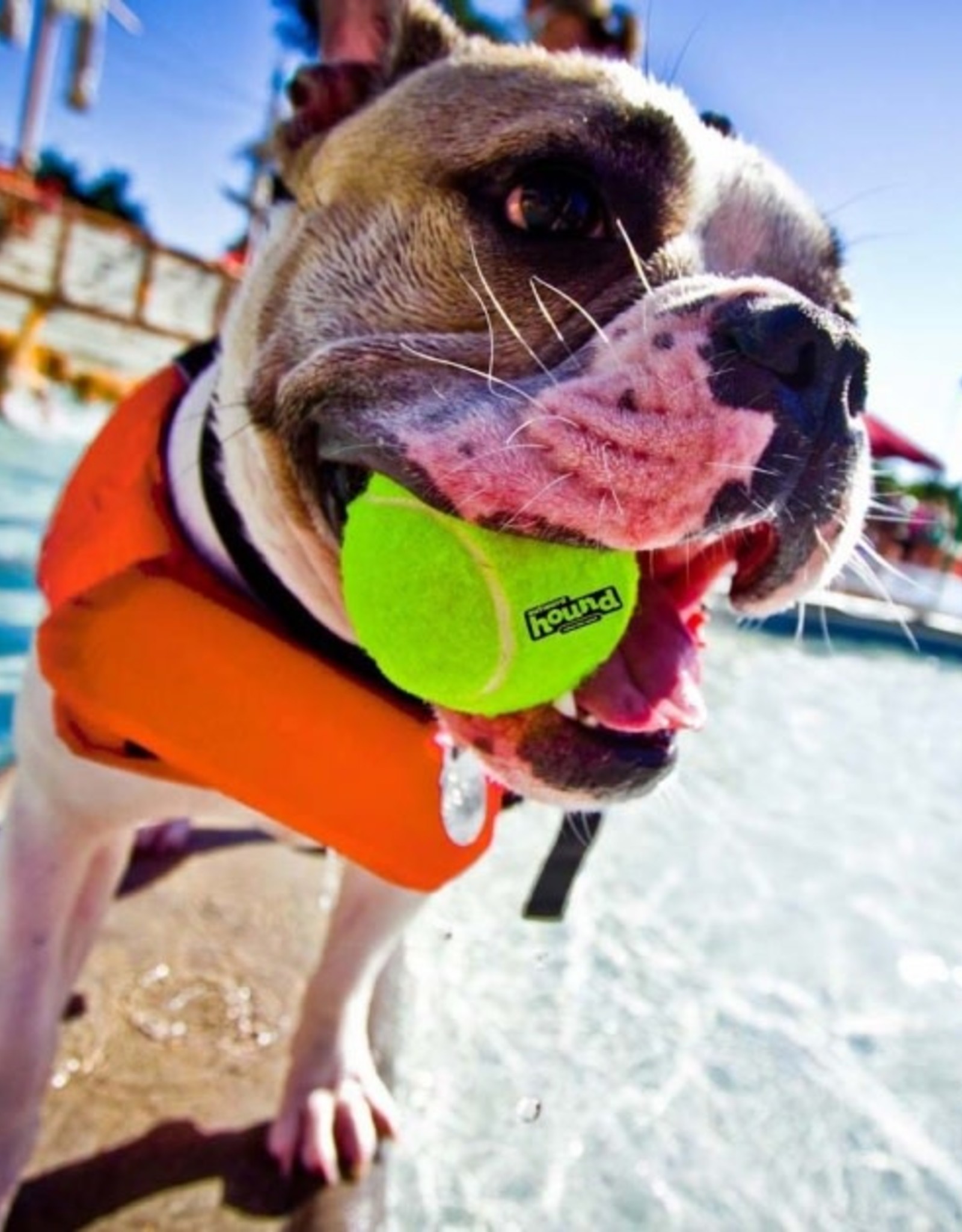 Outward Hound Outward Hound Ripstop Life Jacket