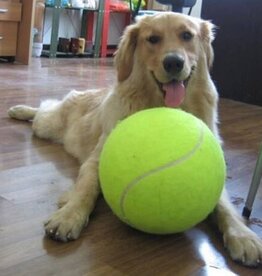 Too Big to Chew Giant Tennis Ball Too Big to Chew Giant Tennis Ball