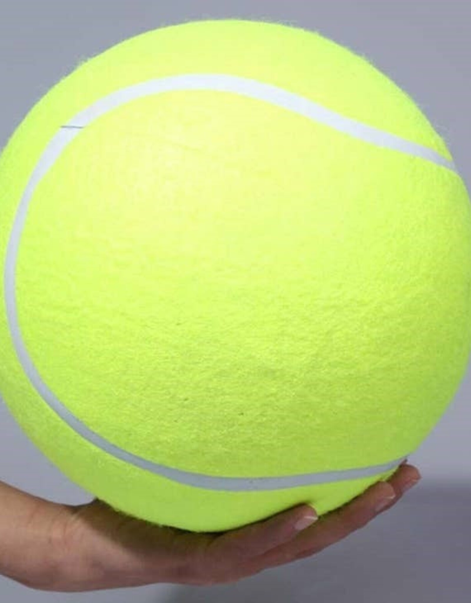 Too Big to Chew Giant Tennis Ball