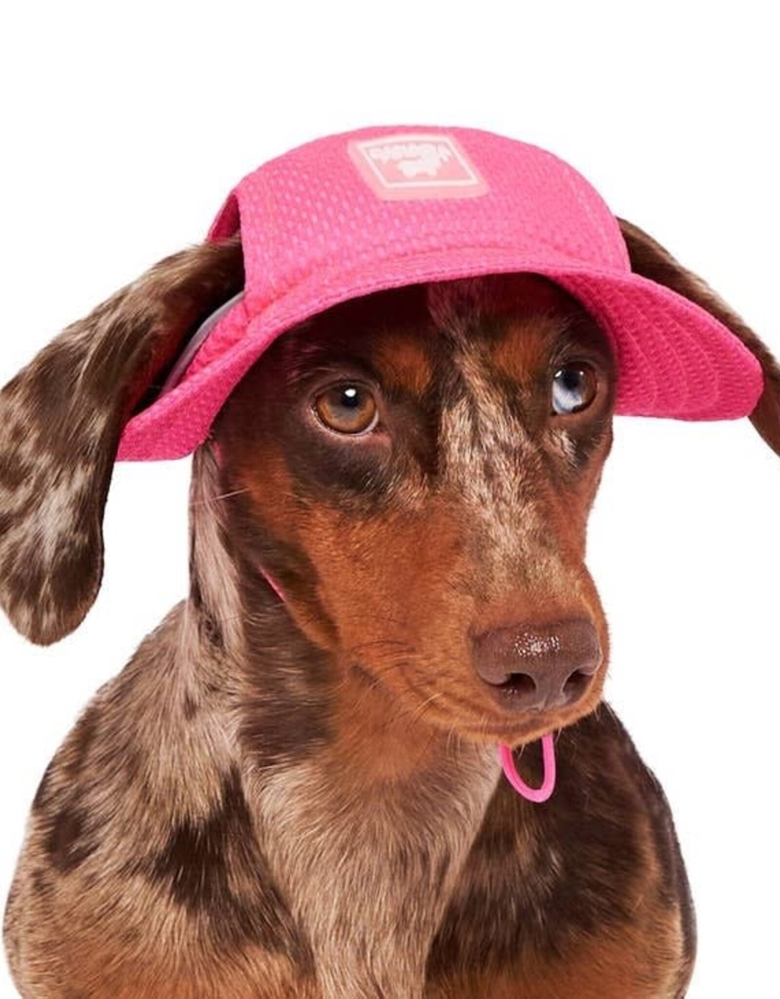 Canada Pooch Canada Pooch Cooling Hat