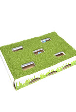 Grass Patch Hunting Box for Cats