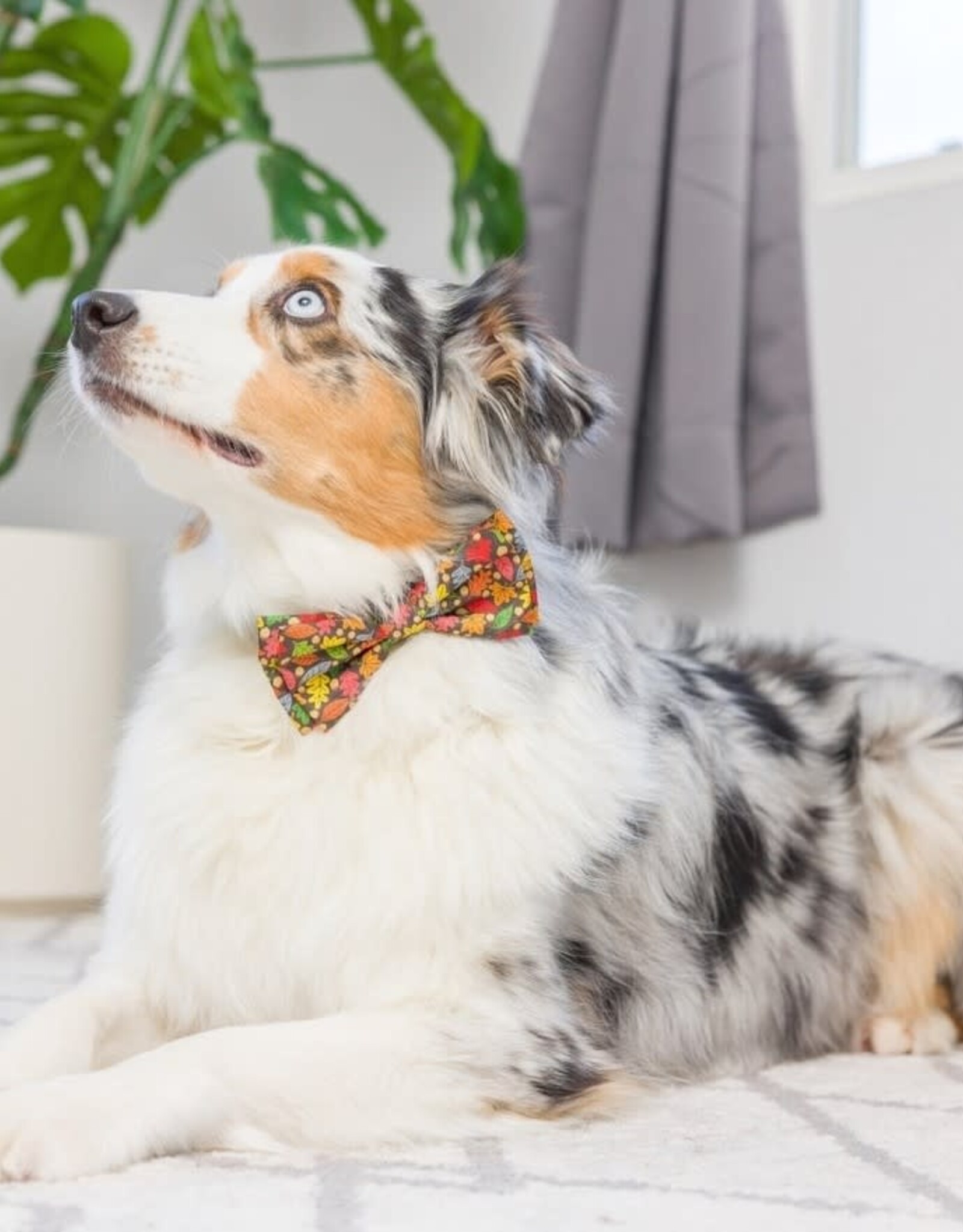 Huxley & Kent Fall Bow Tie - Leaves & Nuts