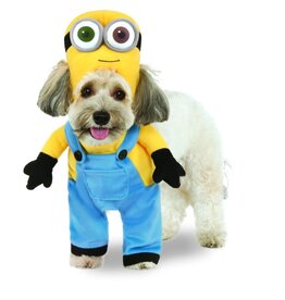 Minion Bob Dog Costume