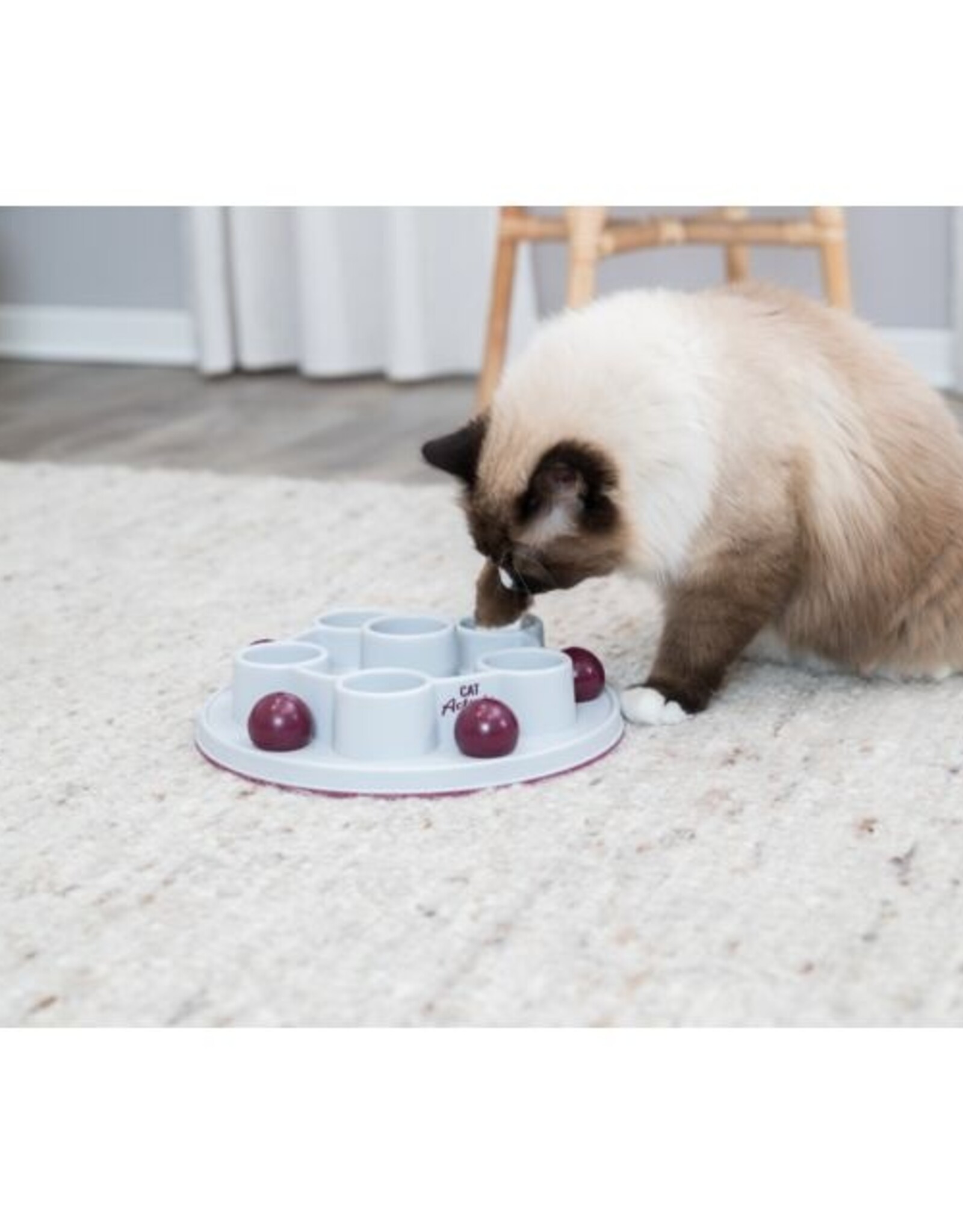 Trixie Cat Activity Pentagon