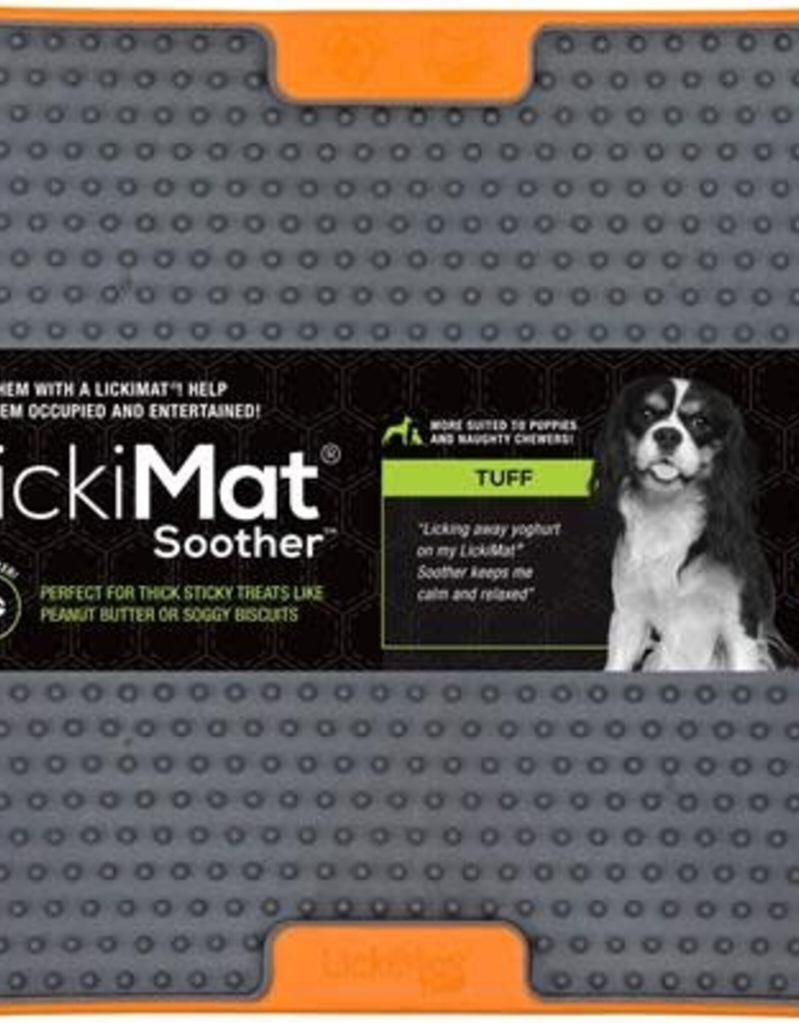 Using LickiMat® with Dog Food