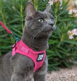 Travel Cat The Purrfectly Pink Reflective Cat Harness