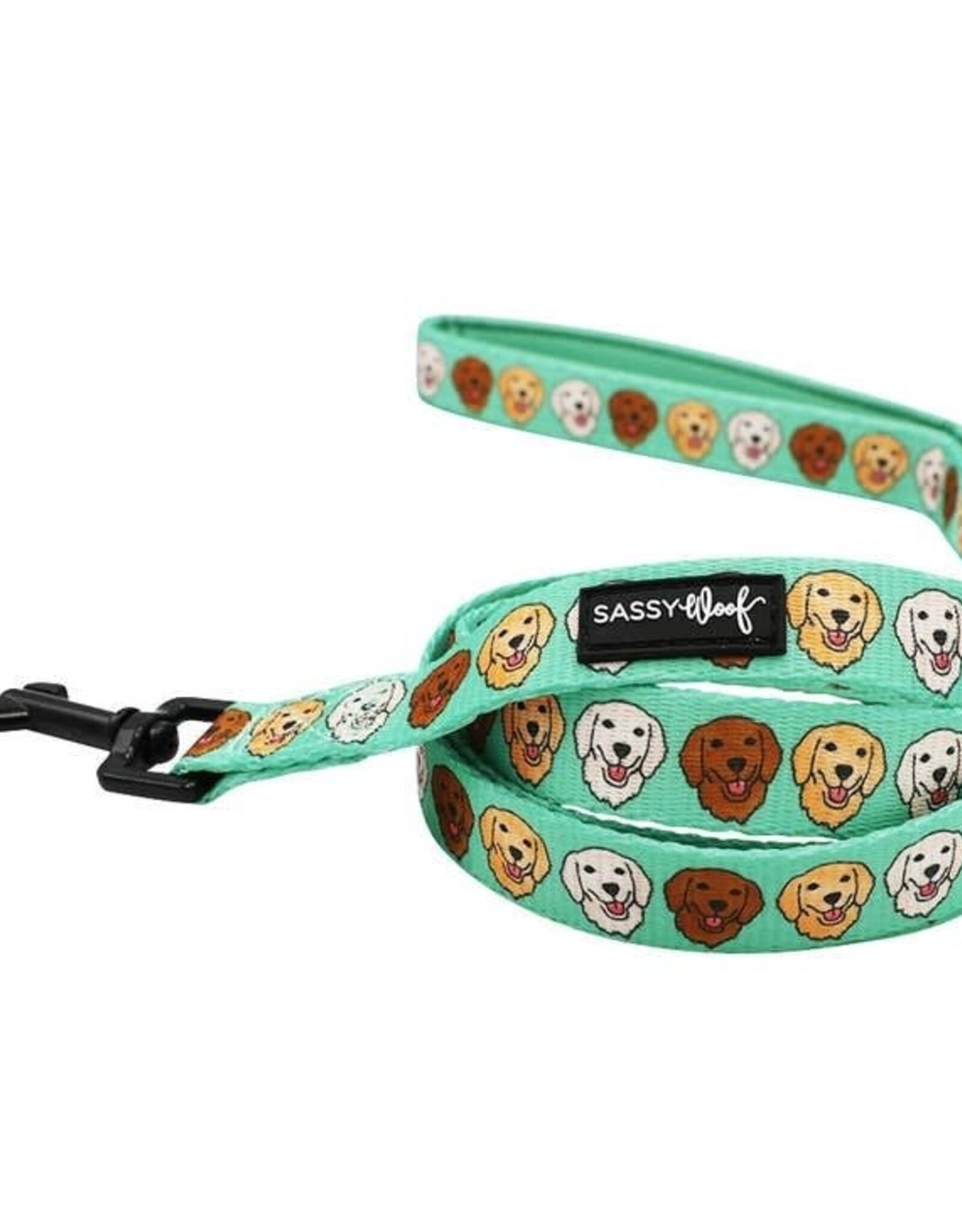 Sassy Woof Sassy Woof Glam Golden Leash